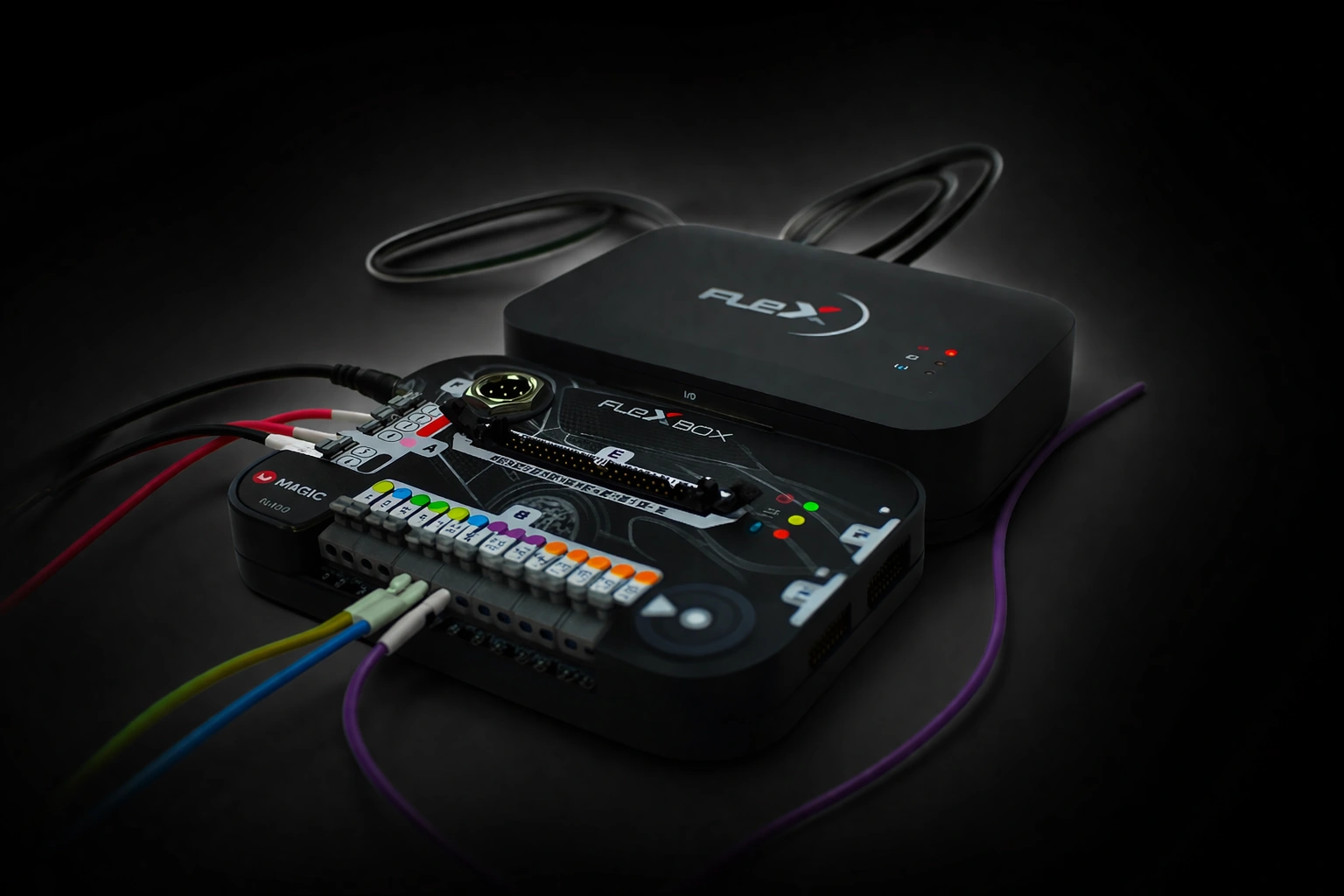 Flex ECU programming interface